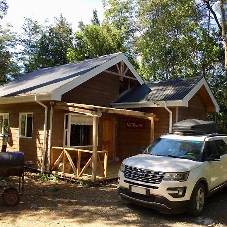 Cabanas Nutrias Patagonicas Puelo River Екстериор снимка